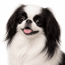 狆